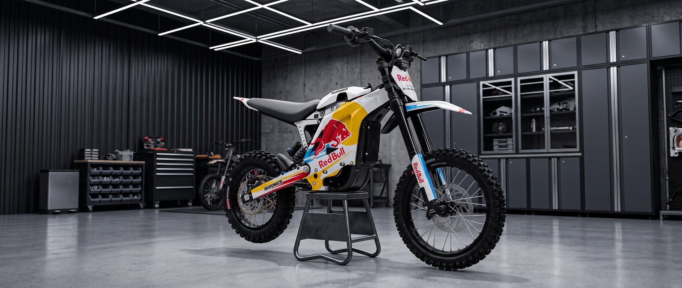Eride Pro Mini R Graphics