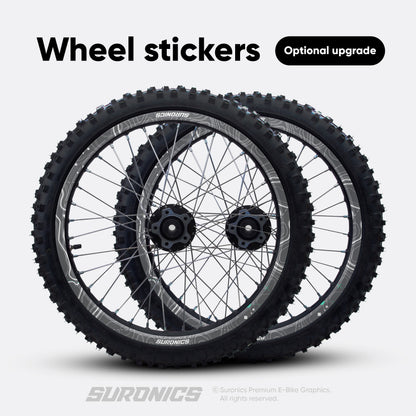 EXPLORER GREY MINT E-Ride Pro SS SR Graphics kit
