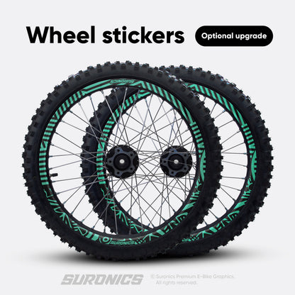 RACE ART BLACK MINT Rerode R1 Graphics kit